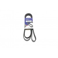 Ремінь генератора Ford Transit 2.3 16V 00-06 (RWD)