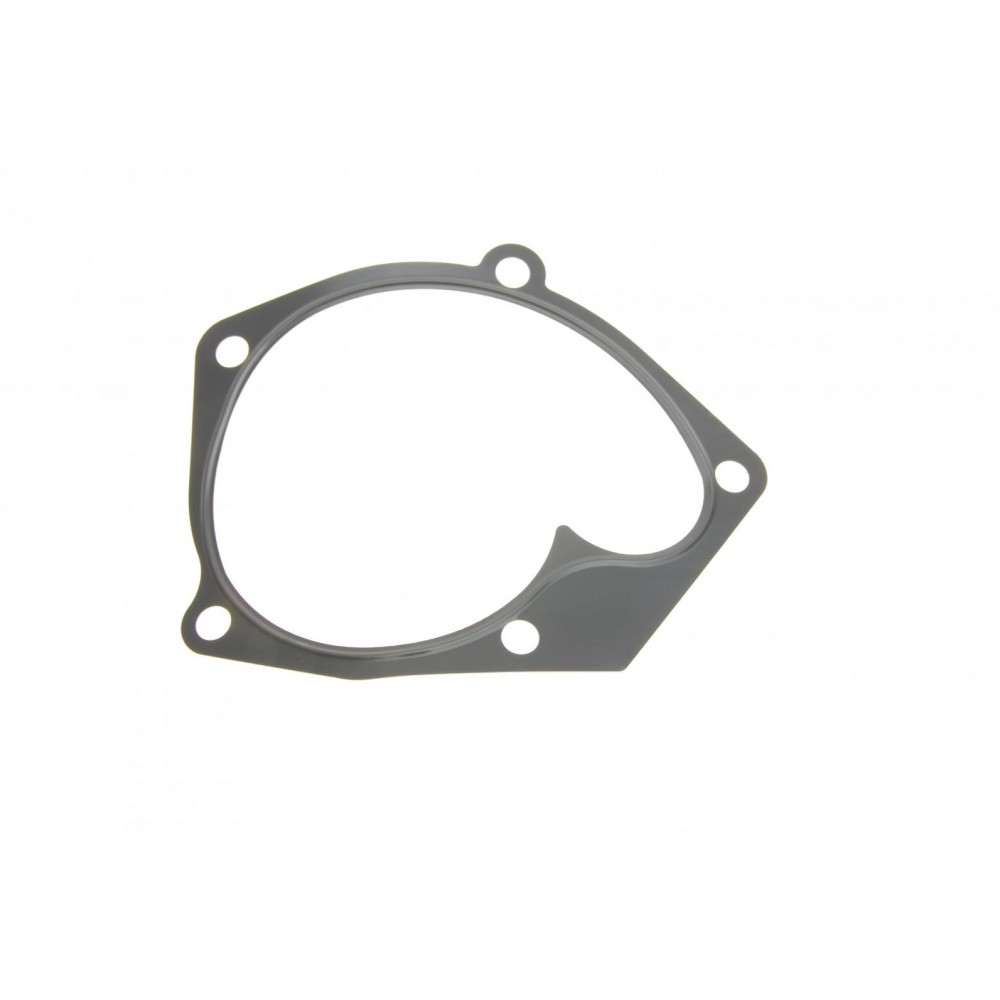 Помпа води Renault Kangoo 1.5dCi 08- (d=74mm)