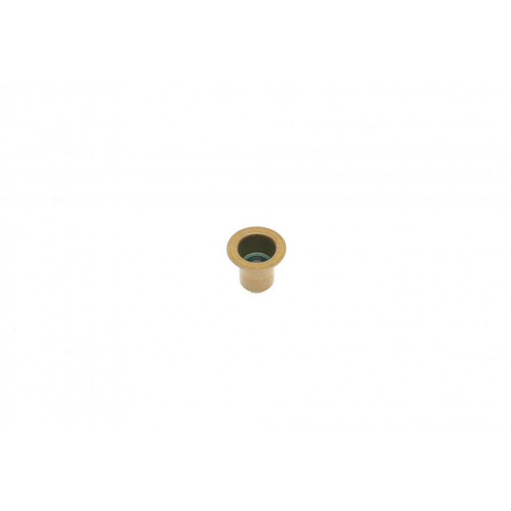 Сальник клапана (випуск) BMW 3 (F30/F80)/5 (F10/G30/F90) (B38/B46/B48/N20) 1.5/2.0 11- (к-кт)