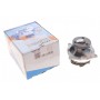 Помпа води Ford Focus I/Mondeo II/Transit/Tourneo Connect 1.6/1.8/2.0 16V 02-13 (R/B) (6 лоп.)