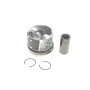 Поршень BMW 3 (E90-93)/5 (E60/E61)/X3 (E83) 2.0D 04-13 (84.0mm/STD)