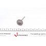 Клапан (впуск) VW Caddy III 1.2TSI 10-15 (35.5x6x98.7) (азотований)