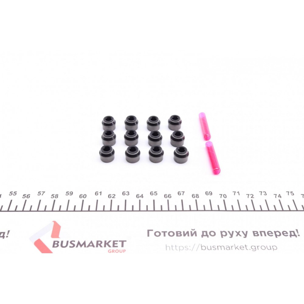Сальник клапана (впуск/випуск) BMW 3(E36/46)/5(E60/E34)/7(E38/E65/E66) 1.3D-3.2 86-10 (к-кт 12шт)