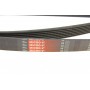Ремінь генератора Honda Accord VIII 2.0 I 08-/ Land Rover Range Rover II 3.9-4.6 94-02