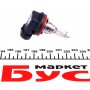 Автолампа H16 12V 19W PGJ19-3