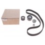 Комплект ГРМ Renault Kangoo/Dacia Logan/Sandero 1.4/1.6 16v 01- (K4M)