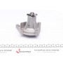Помпа води Hyundai Accent III/Kia Cerato/Rio II 1.4/1.6 95- (WPQ0554)