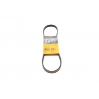 Ремінь генератора Honda Civic VI/Nissan Primera/Citroen Berlingo 1.4-1.6 16V 94-05 (4PK800)