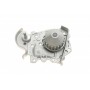 Комплект ГРМ + помпа Renault Megane 1.4/1.6 96-03 (17x95z)