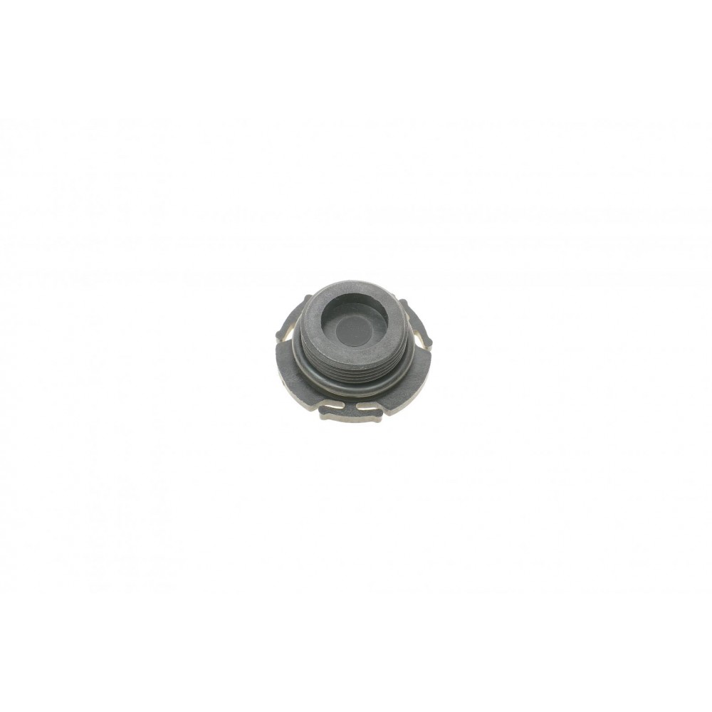 Болт зливу оливи BMW 1 (F20/F21)/3 (F30/F80)/5 (F10) 10- (M24x1.5)