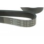 Ремінь генератора VW LT 2.5TDI -06/T4 2.5 91-03/Ford Connect 1.8 TDCi 02-07 (6PK1715)