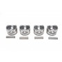 Поршень Dacia Logan/Sandero/Renault Clio/Megane 1.6 8V 96- (80.50mm/+1.0) (к-кт 4 шт)
