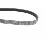 Ремінь генератора Ford Mondeo I/II 1.8TD 93-00 (5PK575)