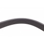 Ремінь генератора BMW 7 (E65/E66/E67) 4.0/4.5D 02-08/Honda Accord 2.0 03-08