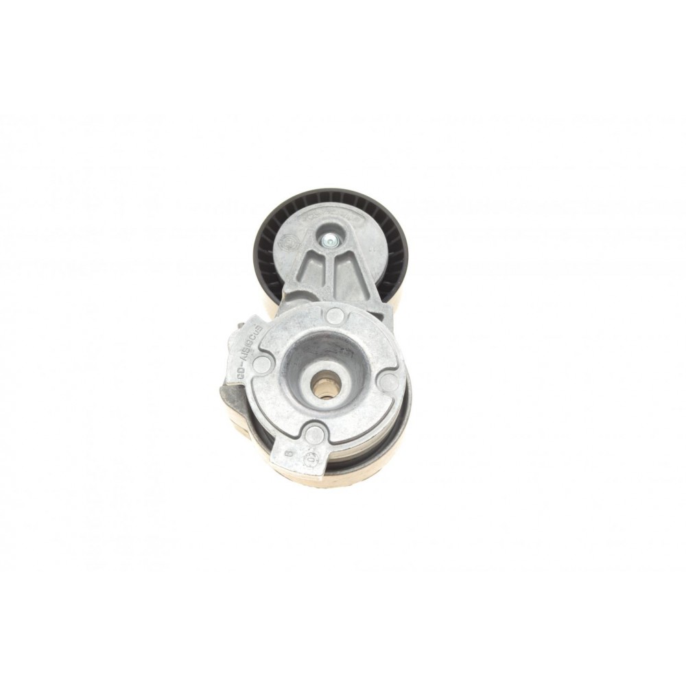 Натяжник ременя генератора BMW X5 (E53) 03-06, N62/N73