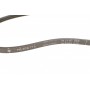 Ремінь генератора Renault Megane/Scenic 1.4i/1.6i, 96-03, (K7M/E7J)
