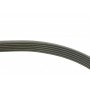 Ремінь генератора BMW 1 (F20/F21)/3 (F30/F80) 1.6i 11-/Honda Civic VII/FR-V 1.7i 01-