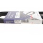 Ремінь генератора Fiat/Lancia/Nissan/Subaru (4PK1100)