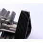 Помпа води Ford Transit VII/VIII 2.4DI/TDCi/TDE 00-14 (R/B) (8 лоп.) (7 кан.) (з корпусом)