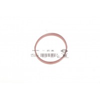 Прокладка колектора впускного BMW 3 (E46)/5 (E39/E60)/7 (E65-E67)/X5 (E53) 00-06 M54 B30