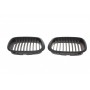 Решітка радіатора BMW 5 (E39) 00-03 (к-кт)