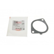 Прокладка колектора впускного Citroen Berlingo/Jumper/Jumpy/Peugeot Boxer/Expert/Partner 2.0 HDi 99