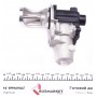 Клапан EGR VW Caddy/T5 1.9TDI 75kw 03- (EV079)