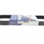 Ремінь генератора Seat Ibiza 15-/VW Polo 1.0/1.6 14-/Skoda Fabia 14- (6PK701)