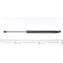 Амортизатор кришки багажника VW Golf VII Liftback 12- (531mm)