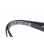 Ремінь генератора Citroen Jumper/Fiat Ducato 2.0/2.2HDi/JTD 02-