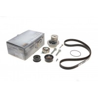 Комплект ГРМ + помпа Opel Astra F/Vectra B 1.4/1.6 16V 94-05(169x20)(помпа P317)