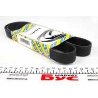 Ремінь генератора VW T5 1.9TDI/2.0 03- (PS)