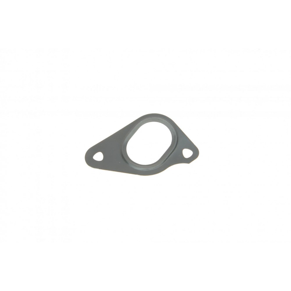 Прокладка помпи води Land Rover Defender/Discovery/Range Rover 3.0/5.0 09-