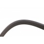 Ремінь генератора Fiat Scudo 2.0 JTD 99-06 (5PK970)