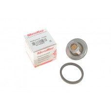 Термостат VW T5 2.0i 03-