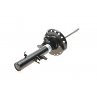 Амортизатор (передній) Land Rover Freelander 2 2.0/2.2D/3.2 06-14 (R)