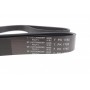 Ремінь генератора Renault Megane III/Scenic III 1.4 16V (JZ0F, JZ1V) 09-
