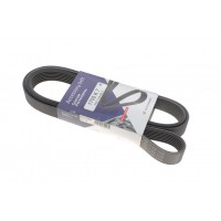 Ремінь генератора Renault Megane II 2.0 dCi 05-09 (7PK1705)