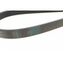 Комплект ременя генератора Renault Clio/Megane/Scenic/Nissan Almera/Micra/Kubistar 1.5 dCi 03-
