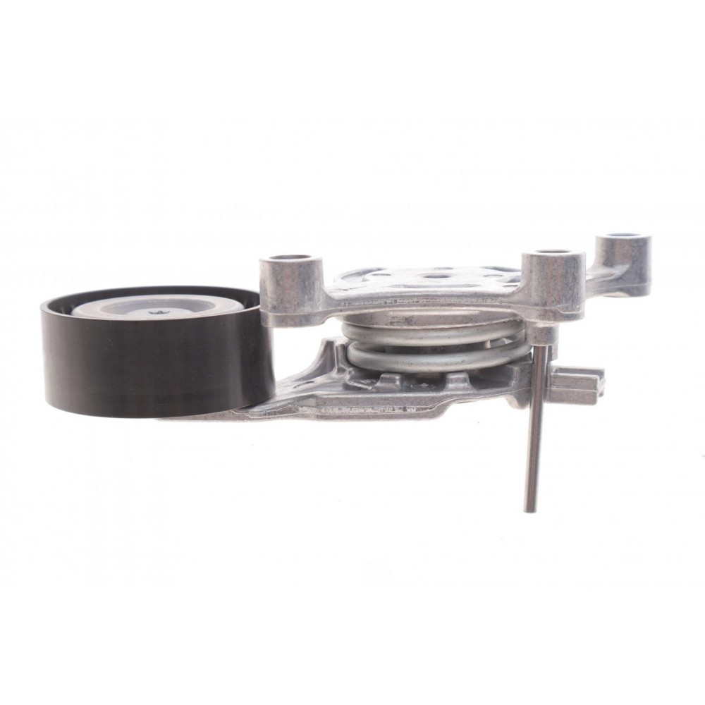 Натяжник ременя генератора Citroen/Peugeot/Ford 1.4HDi/1.6TDCi 01-
