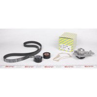 Комплект ГРМ + помпа Citroen Berlingo/Jumpy 1.6HDI 10- (141/25/z141) (замінено на KDP459.670)