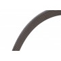 Ремінь генератора Citroen Jumper/Fiat Ducato 2.0/2.2HDi/JTD 02-