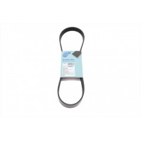 Ремінь генератора Fiat Scudo 1.6/ Renault Kangoo 1.9D 97-/ VW Golf/ Passat 1.6-2.0 90-02 (6PK894)