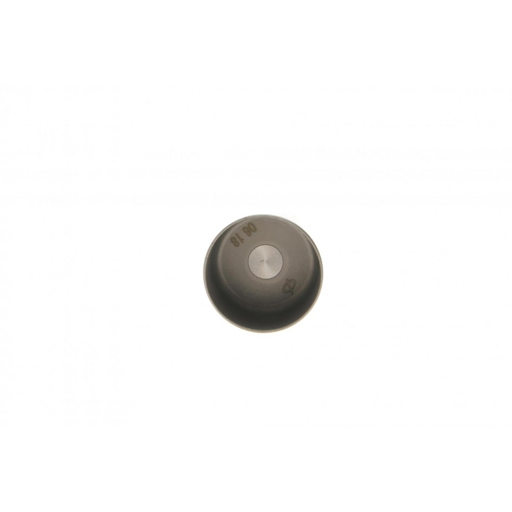 Гідрокомпенсатор Fiat Scudo/Citroen Jumpy/Opel Astra H/Vectra C 1.0-2.4D 73- (37mm)