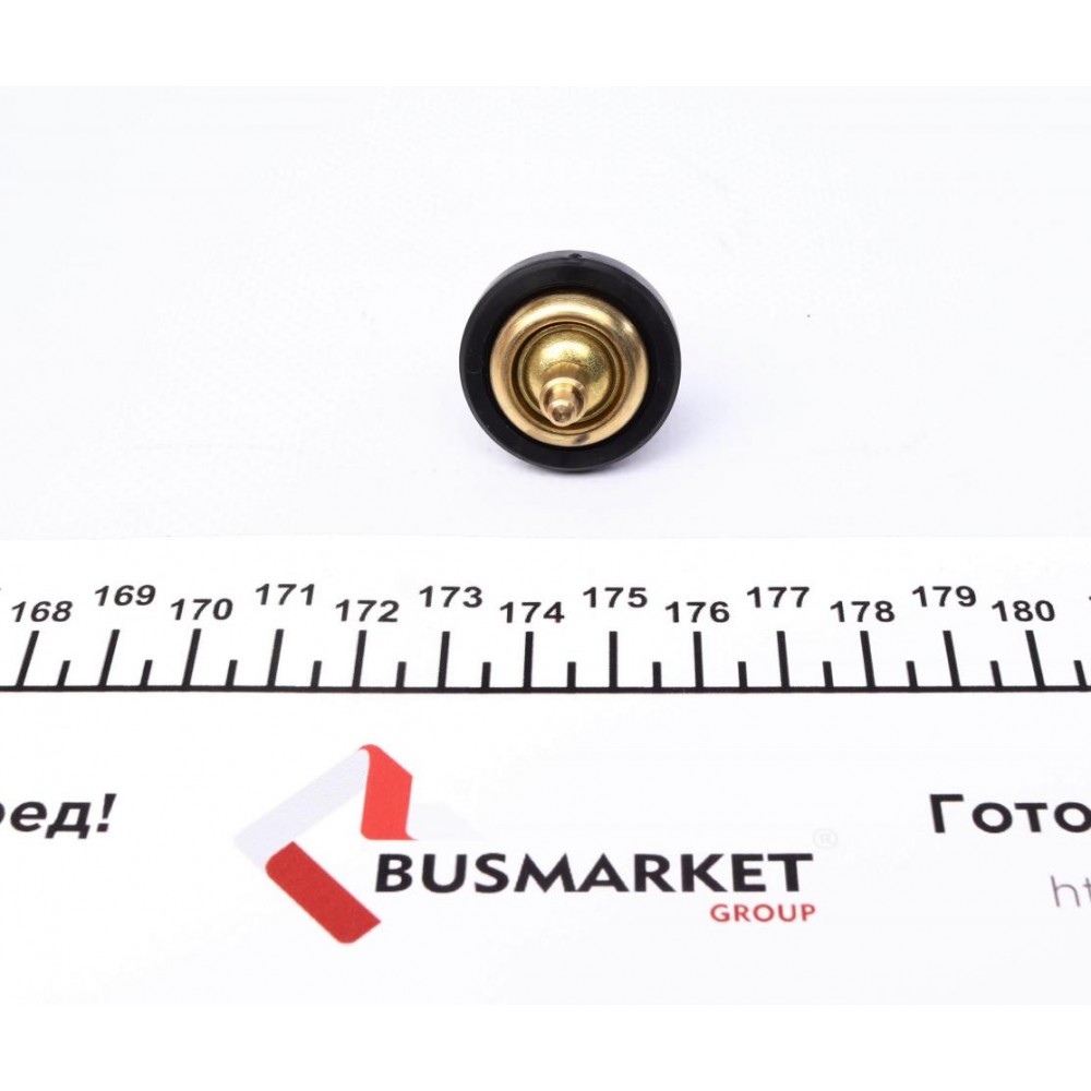 Термостат (вставка) Renault Kangoo/Megane III/IV/Scenic IV 1.5dCi 09-