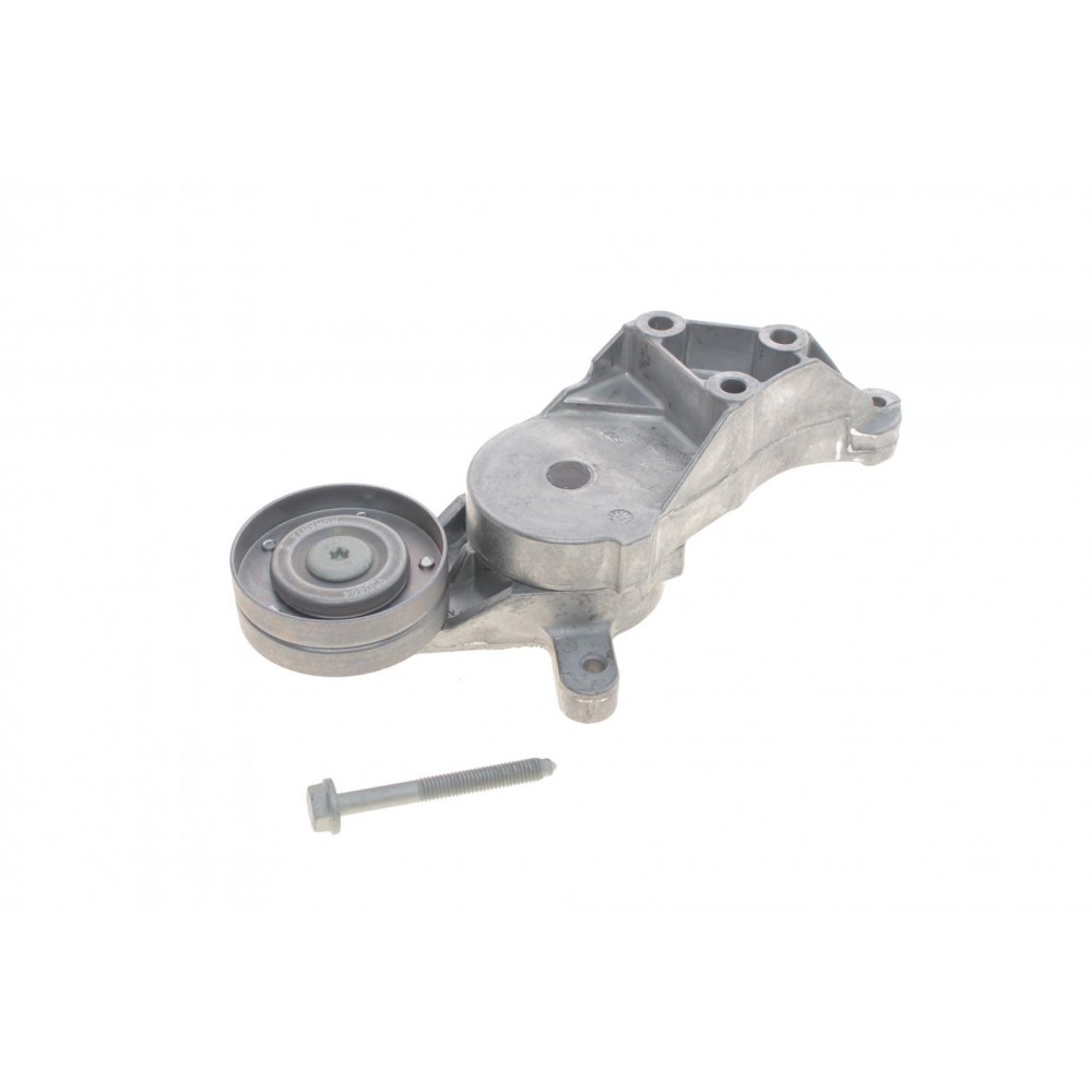 Натяжник ременя генератора VW Golf/Skoda Octavia 1.9 TDI/SDI 96-06 (70x24)