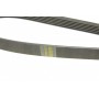 Ремінь генератора Opel Astra 1.7CDTI 04-10/ Subaru Outback 3.0-3.6 05-/ VW Passat 3.2 05- (6PK1623)