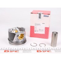 Поршень VW Caddy/Golf/Passat 2.0TDI 05- (81.01mm/STD)