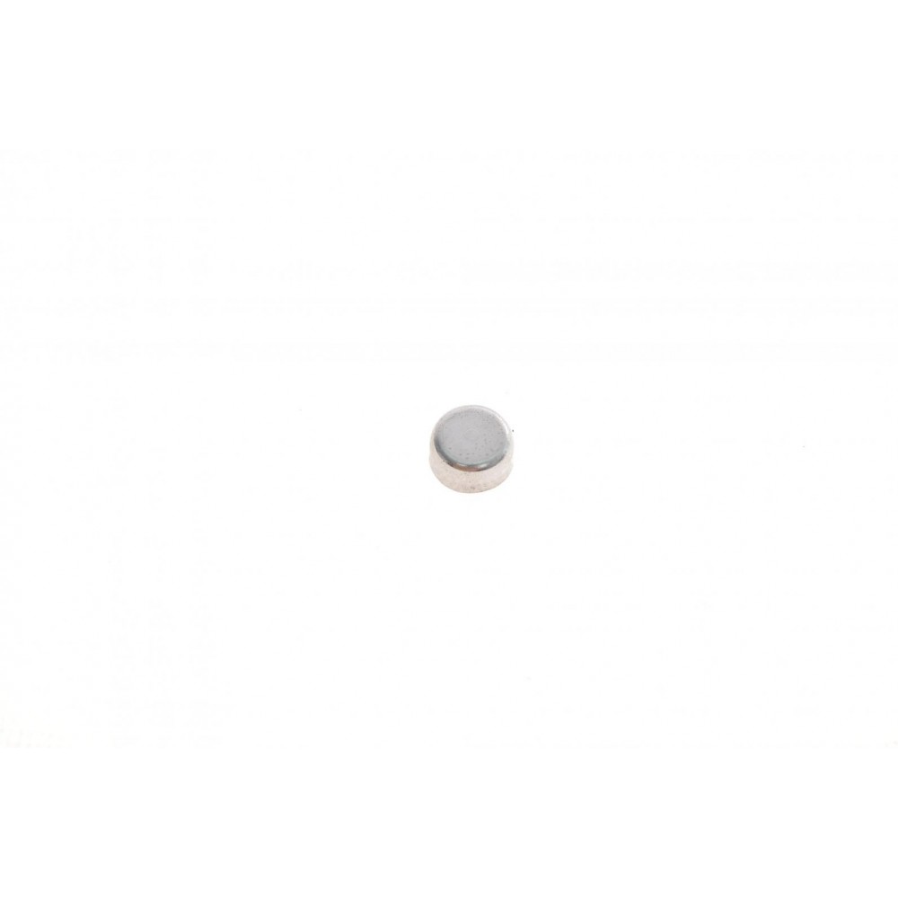 Заглушка блоку циліндрів Renault Kangoo/Traffic/Laguna/Clio/Duster (14.4mm)