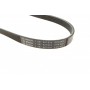 Ремень генератора BMW 3 (E36)/5 (E34/E39) 95-03 (M52) (5PK905)